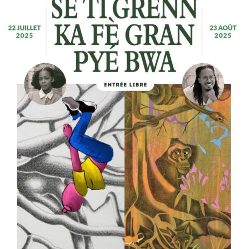 SÉ TI GRENN KA FÈ GRAN PYÉ BWA SÉ TI GRENN KA FÈ GRAN PYÉ BWA