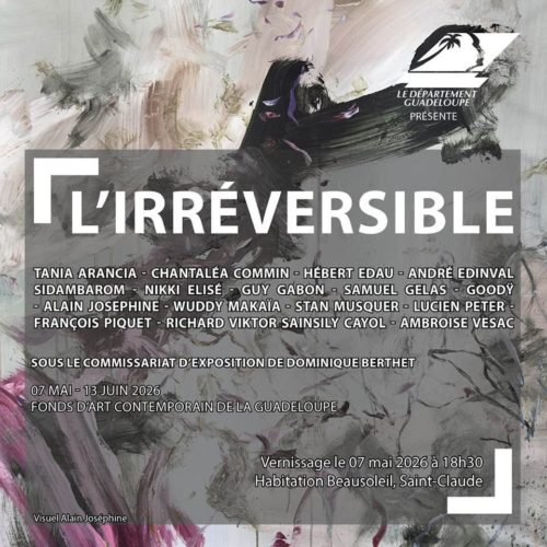 L’IRRÉVERSIBLE L’IRRÉVERSIBLE